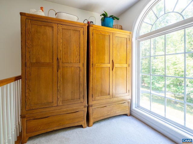 3919 Ruritan Lake Rd, Palmyra, VA 22963 - detailed view of carpet