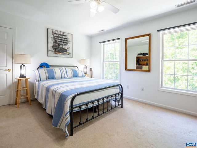 3919 Ruritan Lake Rd, Palmyra, VA 22963 - bedroom featuring light colored carpet, multiple windows, and baseboards