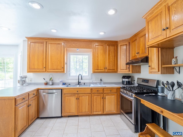 3919 Ruritan Lake Rd, Palmyra, VA 22963 - kitchen featuring appliances with stainless steel finishes, under cabinet range hood, a sink, a peninsula, and light countertops