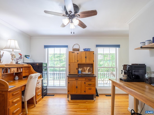 3919 Ruritan Lake Rd, Palmyra, VA 22963 - office area with light wood-style floors, ceiling fan, and ornamental molding