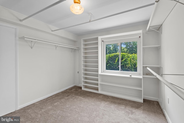 10699 Harding Rd, Laurel, MD 20723 - spacious closet with carpet floors