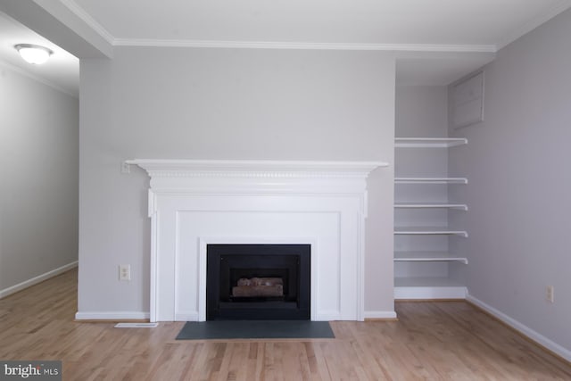 243 Loudoun St SW Unit F, Leesburg, VA 20175 - detailed view of a fireplace with flush hearth, wood finished floors, ornamental molding, and baseboards
