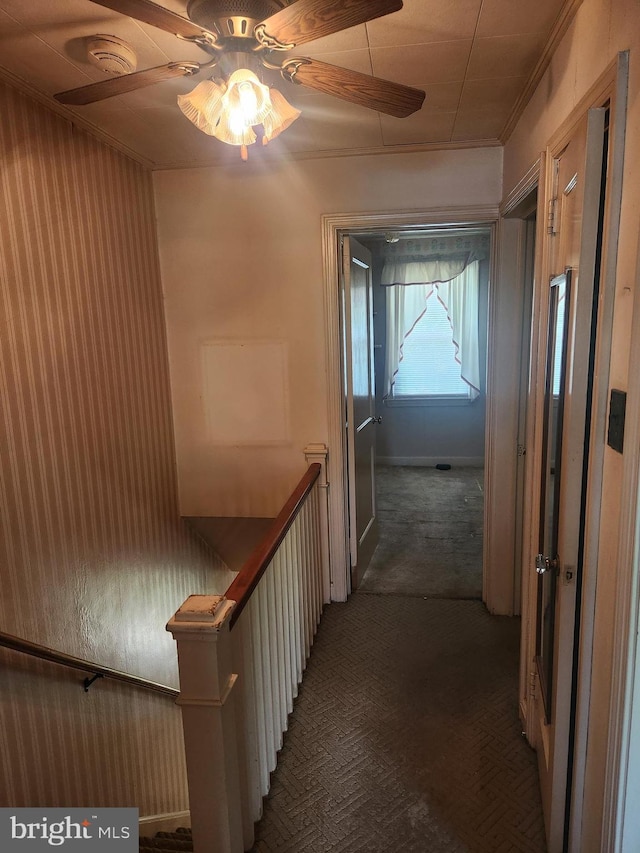 841 Highland Ave, Lancaster, PA 17603 - hall with carpet flooring and ornamental molding
