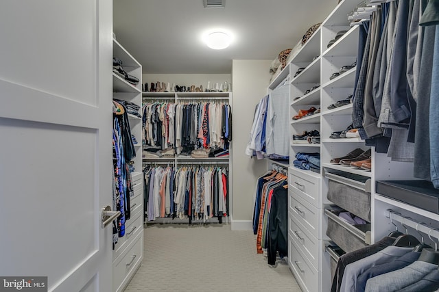 50 S 16th St Unit 5401, Philadelphia, PA 19102 - walk in closet with light carpet