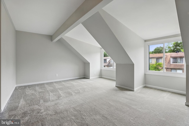 9928 Brookridge Ct, Gaithersburg, MD 20886 - bonus room featuring carpet floors, plenty of natural light, and baseboards