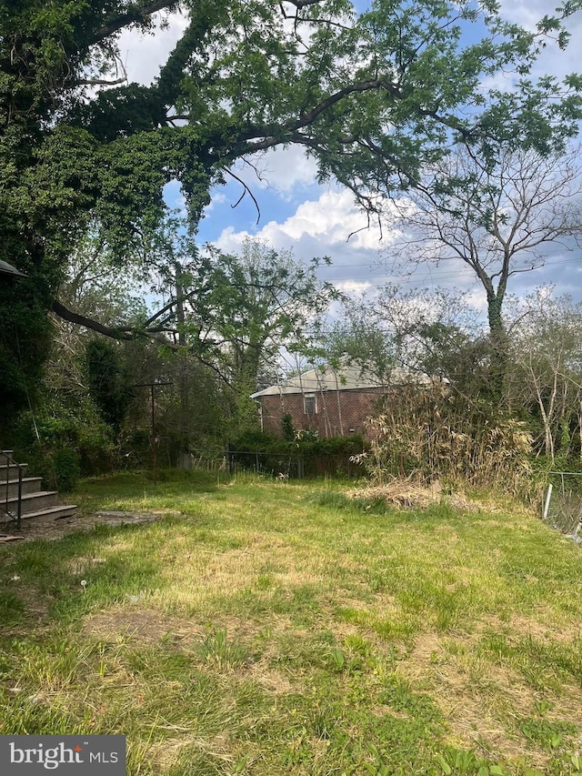 435 S Augusta Ave, Baltimore, MD 21229 - view of yard