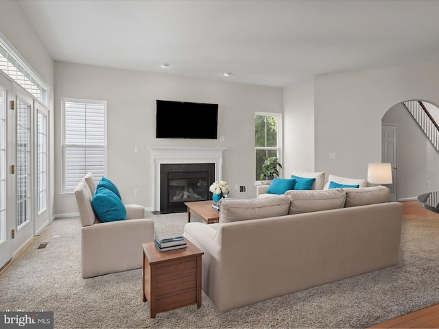 17494 Lethridge Cir, Round Hill, VA 20141 - living area featuring healthy amount of natural light, a glass covered fireplace, and arched walkways