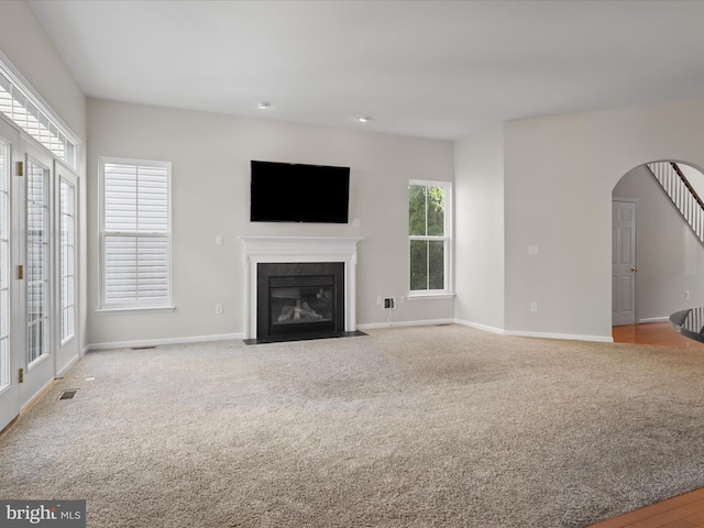 17494 Lethridge Cir, Round Hill, VA 20141 - unfurnished living room featuring carpet, plenty of natural light, a fireplace with flush hearth, and arched walkways