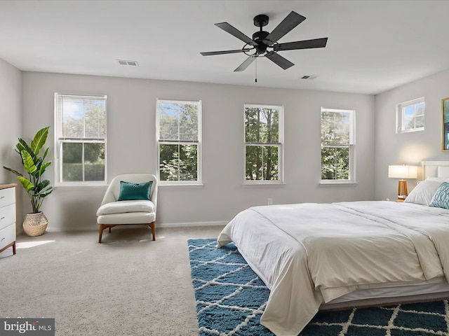 17494 Lethridge Cir, Round Hill, VA 20141 - bedroom featuring multiple windows, carpet floors, and ceiling fan