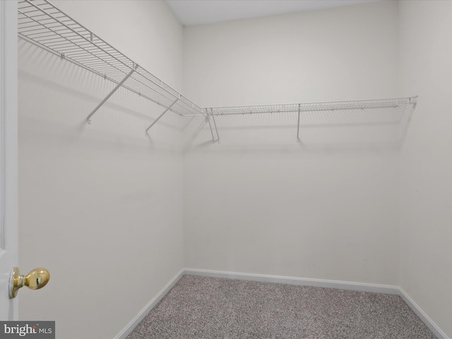 17494 Lethridge Cir, Round Hill, VA 20141 - walk in closet with carpet