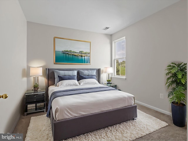 17494 Lethridge Cir, Round Hill, VA 20141 - carpeted bedroom featuring baseboards