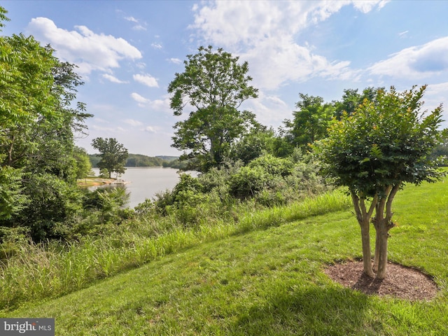 17494 Lethridge Cir, Round Hill, VA 20141 - water view