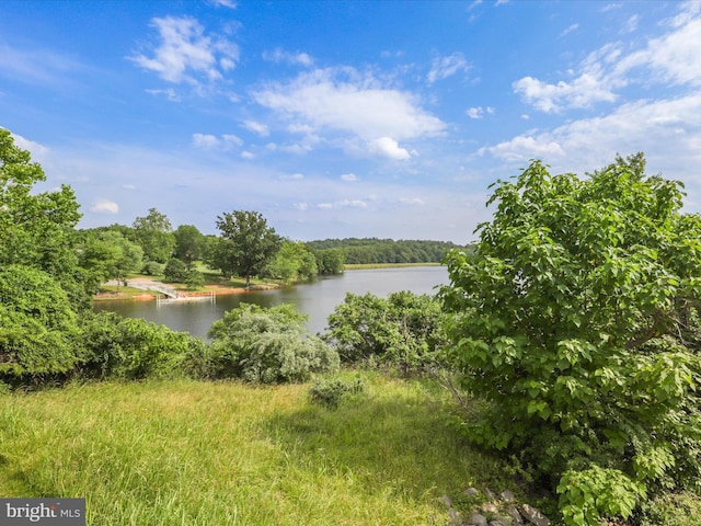 17494 Lethridge Cir, Round Hill, VA 20141 - water view with a forest