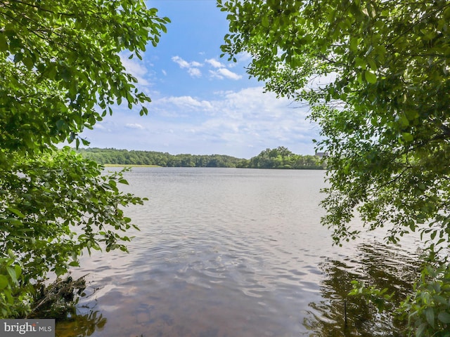 17494 Lethridge Cir, Round Hill, VA 20141 - water view featuring a forest