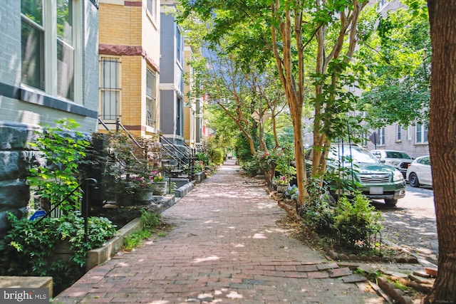 1725 Willard St NW Unit 3, Washington, DC 20009 - surrounding community