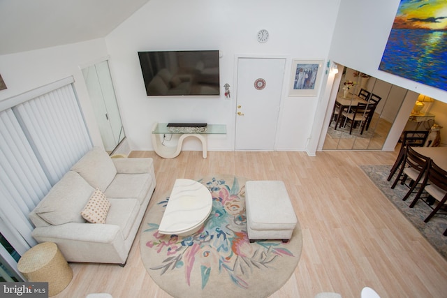 48 Bonnie Gellman Ct Unit B48, Philadelphia, PA 19114 - living area with wood finished floors and vaulted ceiling