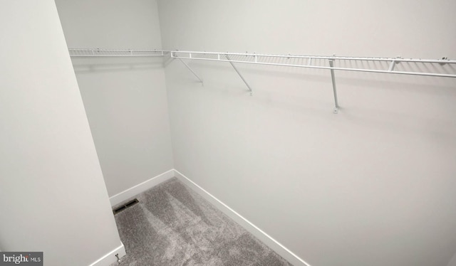 2030 N Fall Harvest Dr, Mechanicsburg, PA 17055 - walk in closet featuring carpet floors