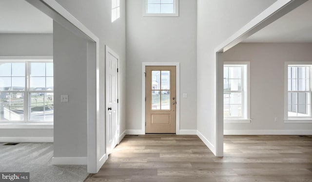 2030 N Fall Harvest Dr, Mechanicsburg, PA 17055 - foyer with plenty of natural light, baseboards, wood finished floors, and a high ceiling