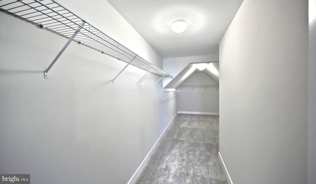 2030 N Fall Harvest Dr, Mechanicsburg, PA 17055 - spacious closet with carpet