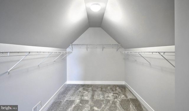 2030 N Fall Harvest Dr, Mechanicsburg, PA 17055 - spacious closet featuring carpet and vaulted ceiling