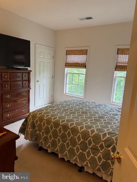 12318 Cherry Branch Dr, Clarksburg, MD 20871 - view of carpeted bedroom