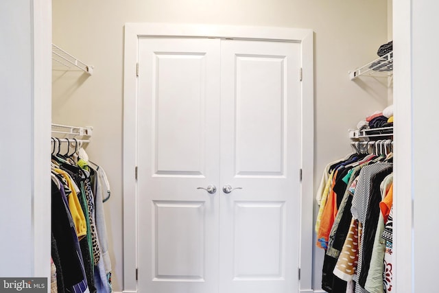 view of spacious closet