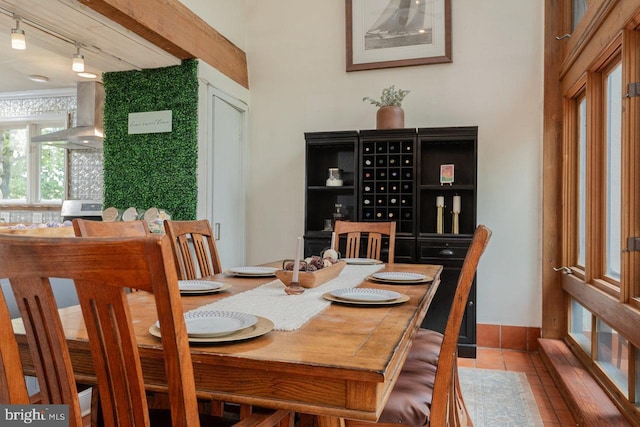 7430 Joes Creek Rd, Linville, VA 22834 - dining room featuring rail lighting and tile patterned flooring