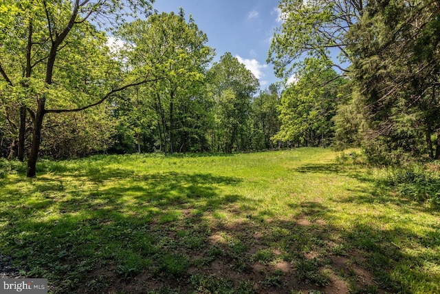 7430 Joes Creek Rd, Linville, VA 22834 - view of grassy yard with a forest view