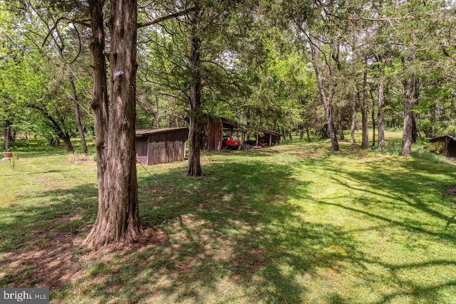 7430 Joes Creek Rd, Linville, VA 22834 - view of grassy yard with an outdoor structure, an outbuilding, and a forest view