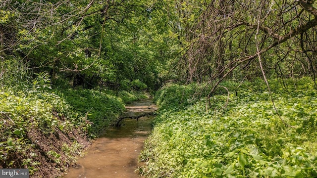 7430 Joes Creek Rd, Linville, VA 22834 - view of undeveloped land