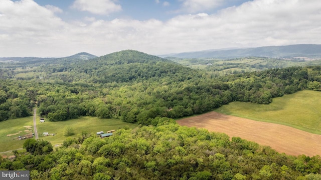 7430 Joes Creek Rd, Linville, VA 22834 - view of mountain background with a heavily wooded area
