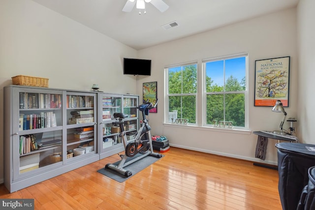 444 Exchange Ave Unit 444, Gaithersburg, MD 20878 - workout room featuring plenty of natural light, wood-type flooring, baseboards, and ceiling fan