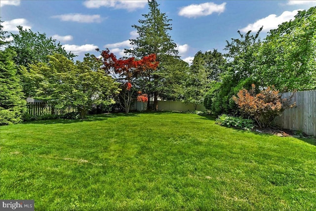 view of yard