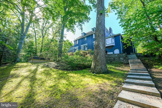 4301 Forest Ln NW, Washington, DC 20007 - view of green lawn with stairway