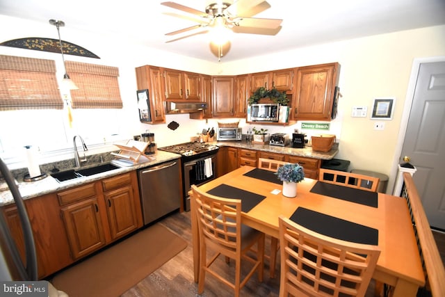10 Casimir Ct, New Castle, DE 19720 - kitchen with stainless steel appliances, a sink, wood finished floors, under cabinet range hood, and a ceiling fan