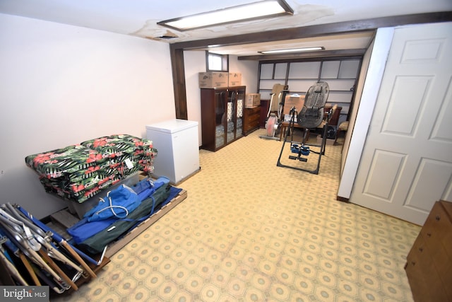 10 Casimir Ct, New Castle, DE 19720 - finished below grade area featuring fridge