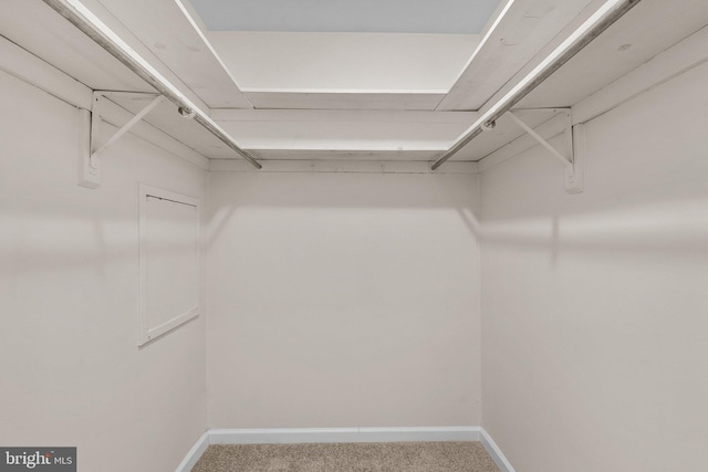 10234 Prince Pl Unit 17-T2, Upper Marlboro, MD 20774 - spacious closet featuring carpet flooring