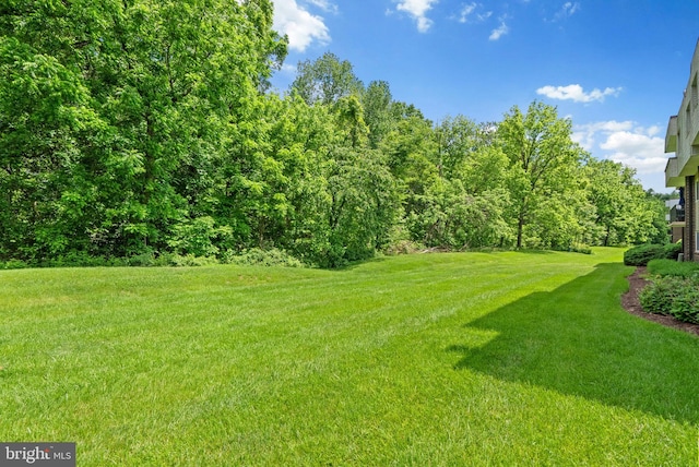 10234 Prince Pl Unit 17-T2, Upper Marlboro, MD 20774 - view of green lawn