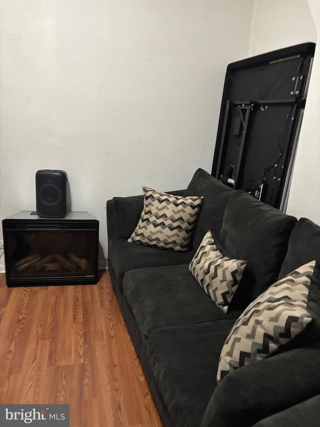 3857 N Marshall St, Philadelphia, PA 19140 - living room featuring wood finished floors