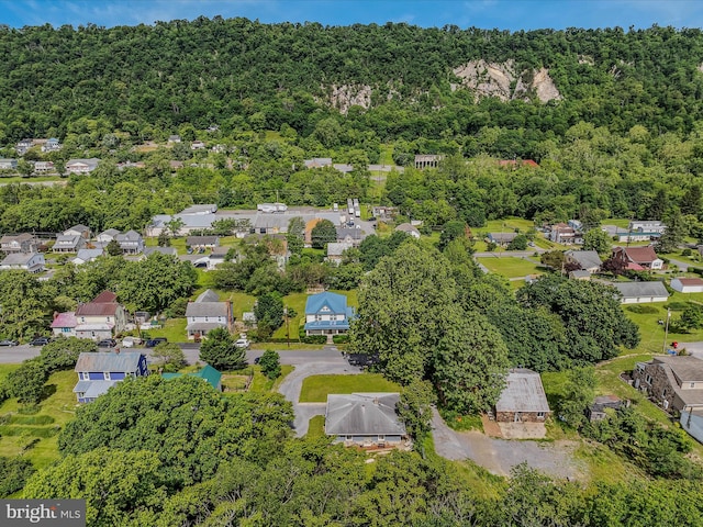 9 S Laurel Ave, Berkeley Springs, WV 25411 - aerial view of residential area featuring a heavily wooded area