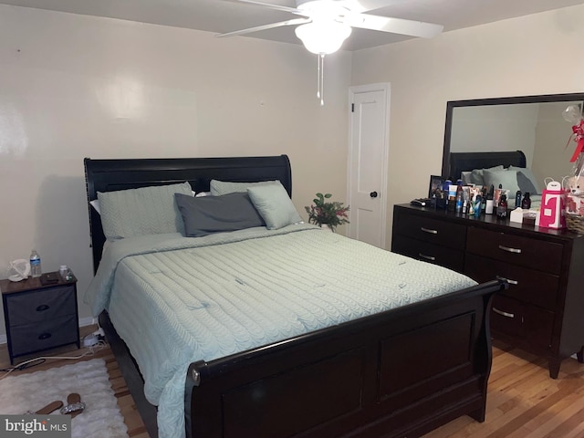 3110 Wellington St, Philadelphia, PA 19149 - bedroom with light wood-style flooring and a ceiling fan