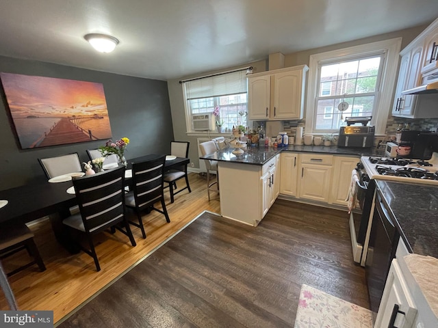 3110 Wellington St, Philadelphia, PA 19149 - kitchen with a peninsula, dark wood finished floors, plenty of natural light, and dark countertops