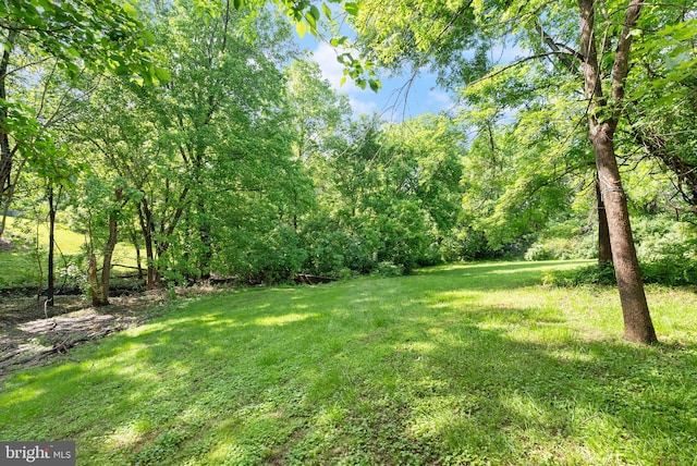 513 Tavenner Ct, Sterling, VA 20164 - view of grassy yard featuring a wooded view