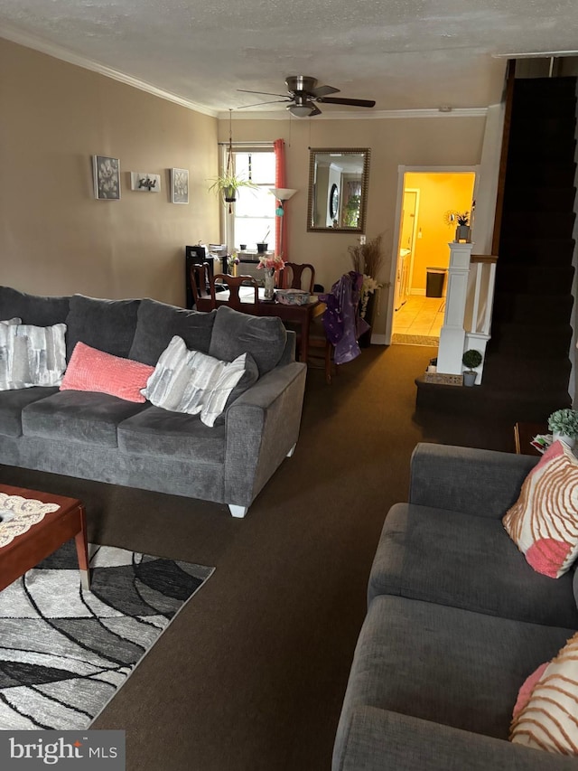 3737 N 5th St, Philadelphia, PA 19140 - living room with ornamental molding, carpet, and ceiling fan