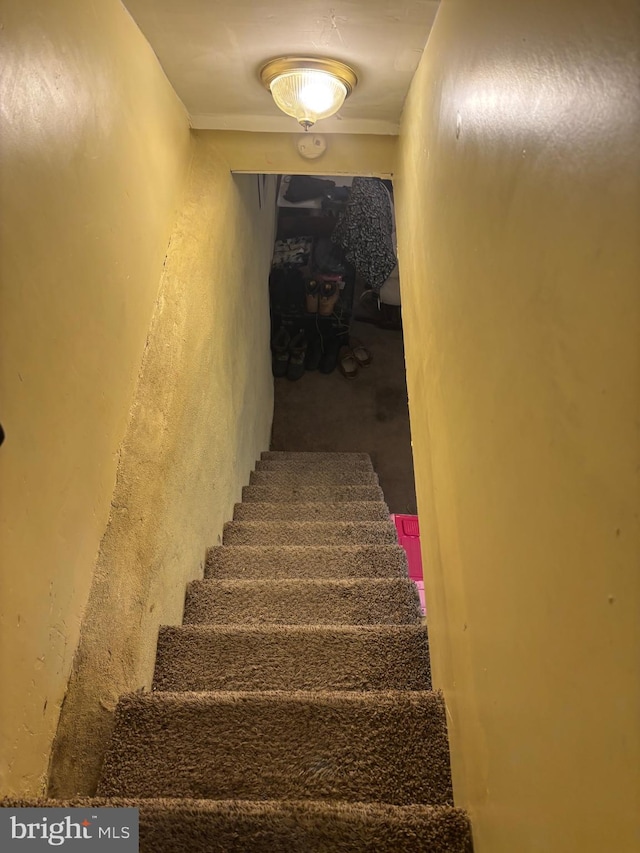 3737 N 5th St, Philadelphia, PA 19140 - staircase featuring a textured wall and carpet flooring