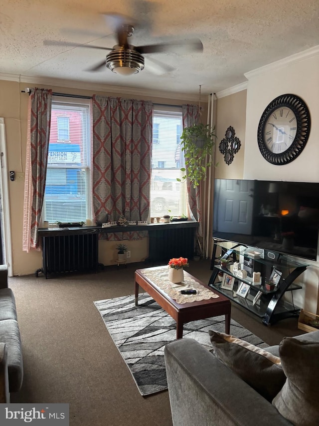 3737 N 5th St, Philadelphia, PA 19140 - carpeted living room with crown molding, ceiling fan, and a textured ceiling