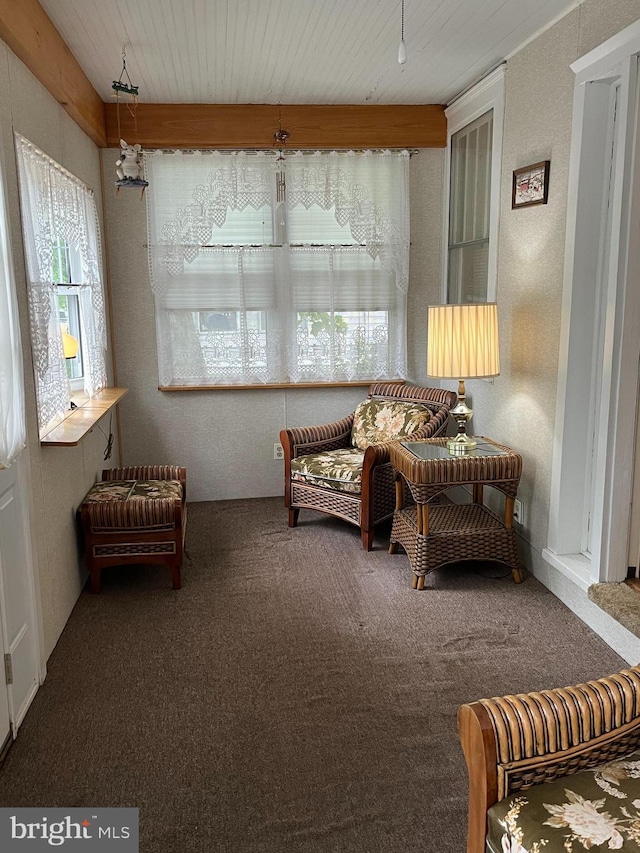 sunroom featuring healthy amount of natural light