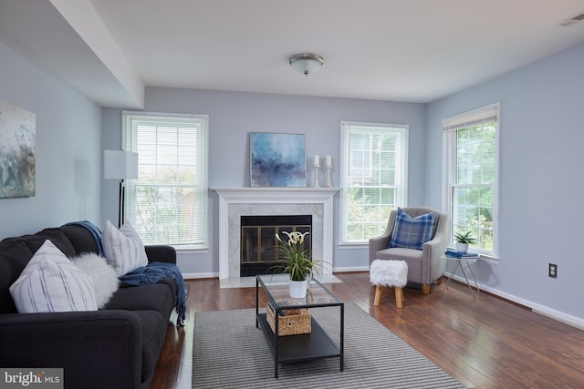 2723 Deer Ridge Dr, Silver Spring, MD 20904 - living area with baseboards, wood finished floors, and a premium fireplace