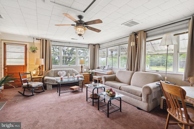 350 Poorhouse Rd, Winchester, VA 22603 - carpeted living area featuring healthy amount of natural light and ceiling fan
