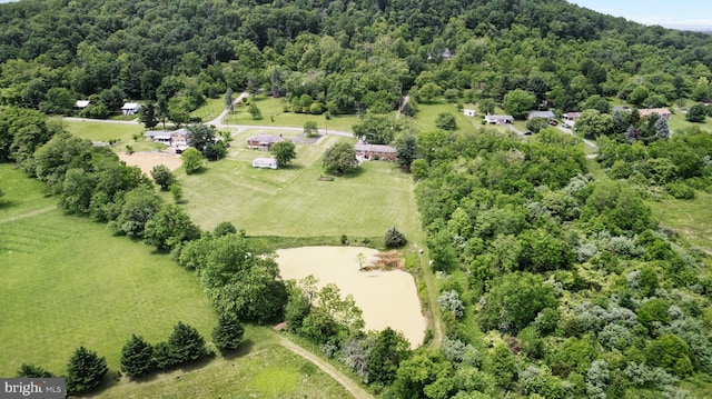 350 Poorhouse Rd, Winchester, VA 22603 - drone / aerial view of a forest